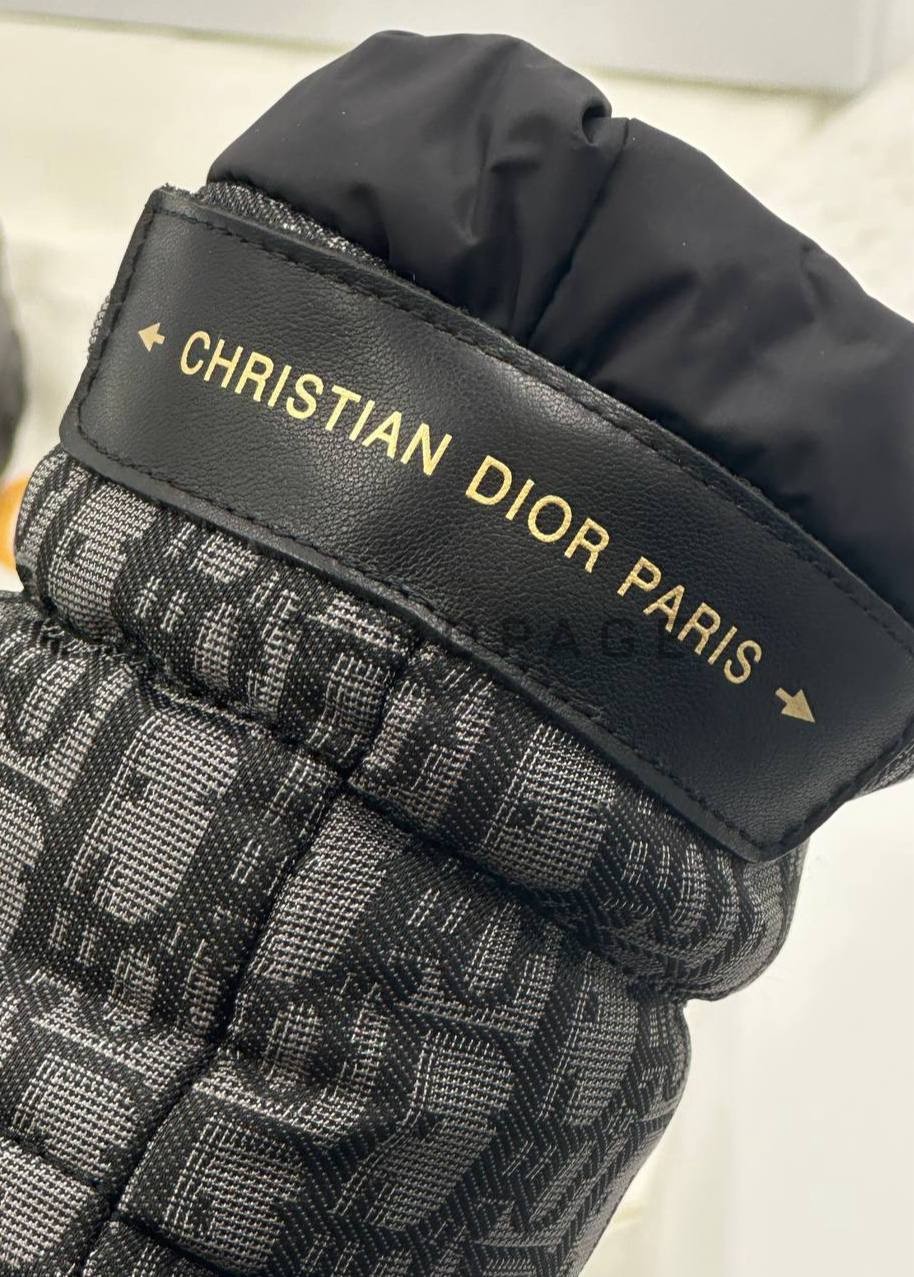 Женские сапоги с мехом Christian Dior BPLUX12455 Женские сапоги с мехом Christian Dior BPLUX12455