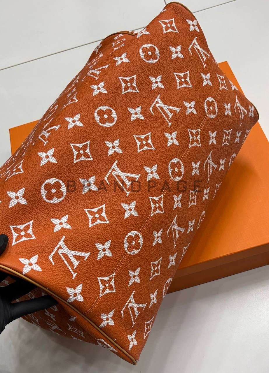 Сумка кожаная Louis Vuitton BPLUX13202