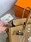 Элитная женская сумка Birkin 25 cm Hermes BP-26115