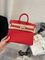 Трендовая женская сумка Birkin, Togo, 25 Hermes BP-40093