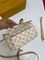 Женская сумка лимитированная Louis Vuitton BP-19125