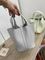 Коллекционная женская сумка Picotin Togo Hermes BP-33245