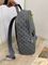 Рюкзак Louis Vuitton стильный BP-22130