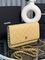 Клатч светло-жёлтый от Chanel Wallet on Chain BP5-240923 — фото 1 [TG f729efb8911a-001]