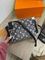 Коллекционная сумка SIDE TRUNK Louis Vuitton BP-27198