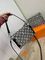 Коллекционная сумка SIDE TRUNK Louis Vuitton BP-27198