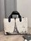 Женская сумка Christian Dior коллекционная BP-52803