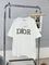 Футболка трендовая Christian Dior BP-28562