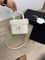 Премиальная женская сумка Chanel BP-34909